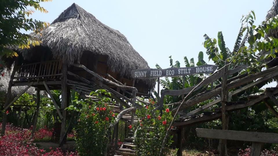 Вилла Sunny Field Eco Stilt House Каттьен Экстерьер фото